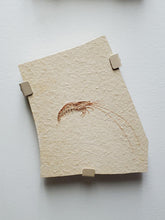 Load image into Gallery viewer, Single Arm Steel Bracket